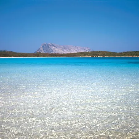 Appartamento Sunrise Marina House Olbia