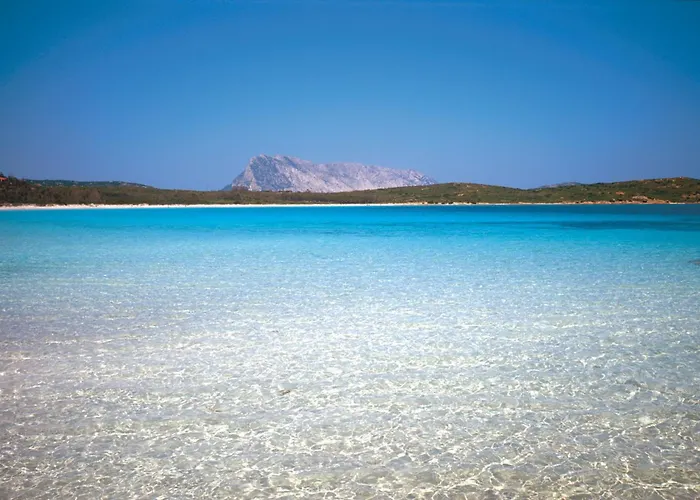 Apartment Sunrise Marina House Olbia